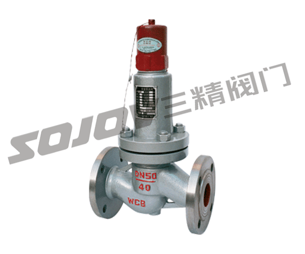 平行式安全回流阀图片